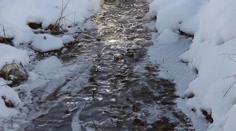 Winter stream Stock Footage 42549359