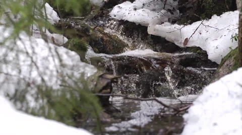 Winter stream Stockbeeldmateriaal 43133967