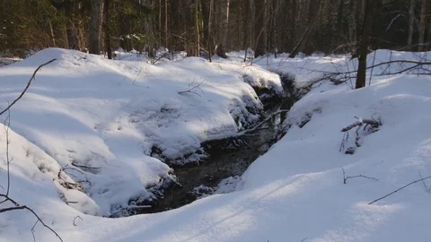 Winter stream Stock Footage 73396123