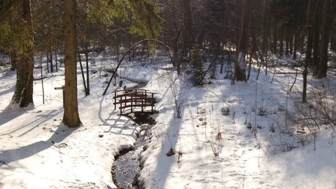 Winter stream Stock Footage 73396538