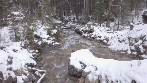 Winter Stream Vídeo Stock 88708667