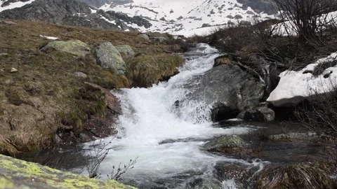 Winter stream. Stock Footage 325657128