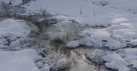 Winter stream with grass and not frozen water, 4k, tilt up Stock Footage 84490999