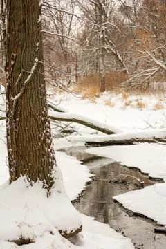 Winter stream Stock Photos