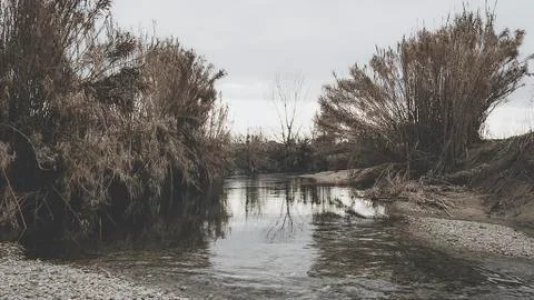 Winter stream Stock Photos