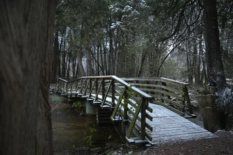Winter stream Stock Photos