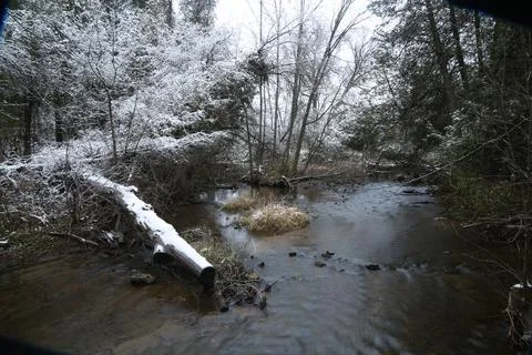 Winter stream Stock Photos
