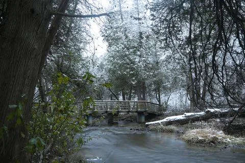 Winter stream 스톡 사진