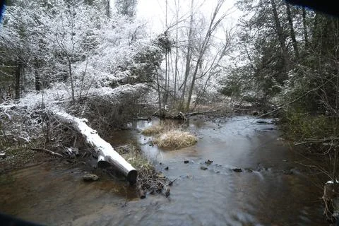 Winter stream Stock Photos