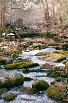 Winter stream Stock Photos