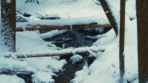 Winter Stream with Snow-Covered Logs and Trees Stock Footage 296284453