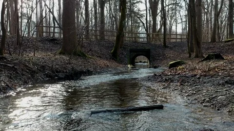 Winter stream in the woods Stock Footage 87756478