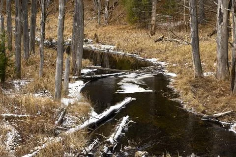 Winter at the streams edge Stock Photos