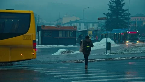 Winter Street Stock Footage 170451643