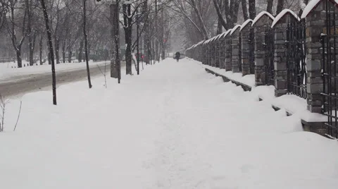 Winter street with snow falling Video stock 45805222