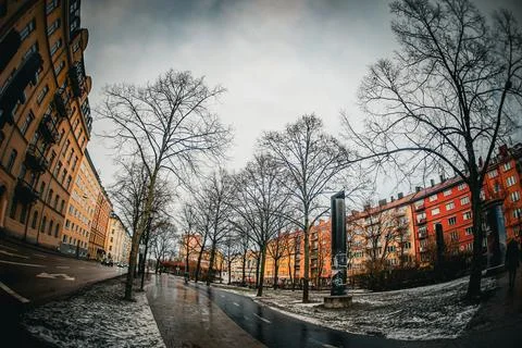 Winter streets lined with deciduous trees in Stockholm Stock Photos