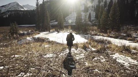 Winter Stroll Stock Footage 248338915