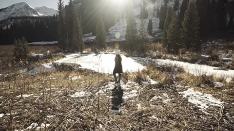 Winter Stroll Stock Footage 248338960