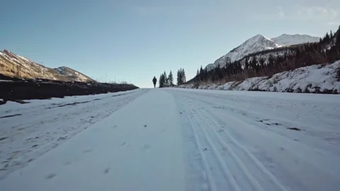 Winter Stroll Stock Footage 248339052