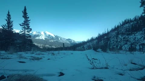 Winter Stroll Stock Footage 248339092