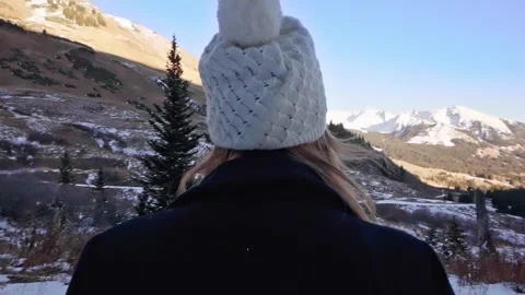 Winter Stroll Stock Footage 248339105