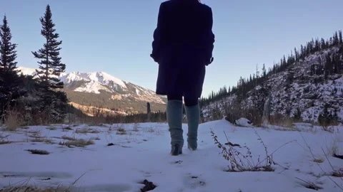 Winter Stroll Stock Footage 248339106