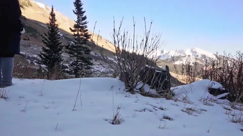 Winter Stroll Stock Footage 248339110