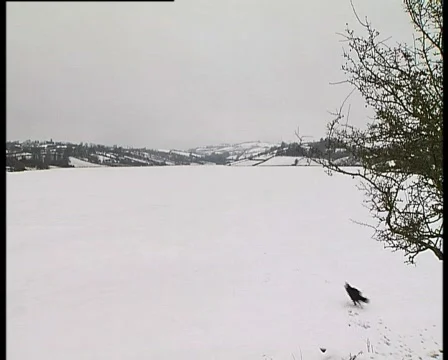 Winter to Summer 1 Stock Footage 732682