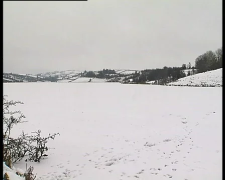 Winter to Summer 2 Stock Footage 732684