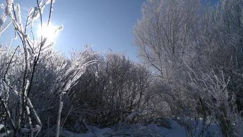 Winter sun 1 Stock Photos
