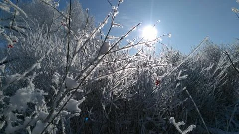 Winter sun 3 Stock Photos