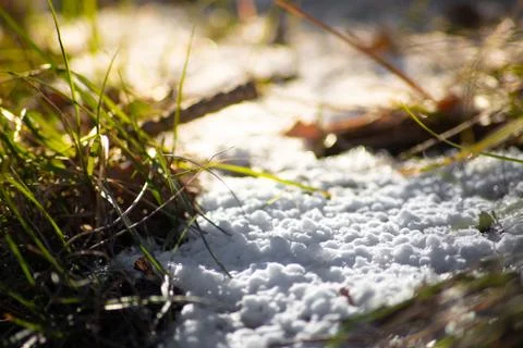 Winter sun and  grass covered by snow Stock Photos