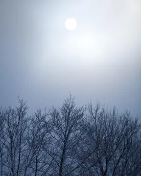 Winter Sun Background Stock Photos