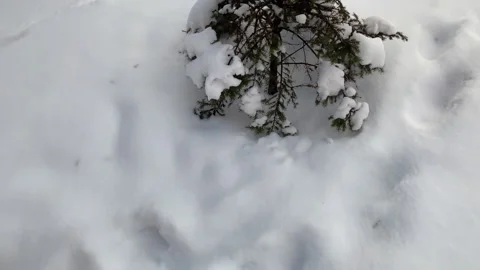 Winter, sun Stock Footage 148130266