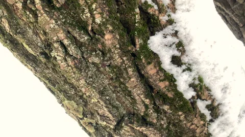 Winter, sun Stock Footage 148130323