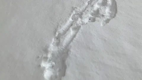 Winter, sun Stock Footage 148219121