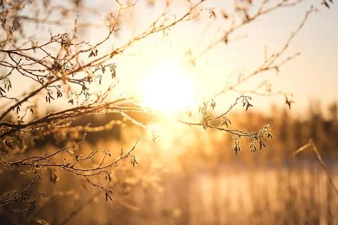 Winter sun light Stock Photos