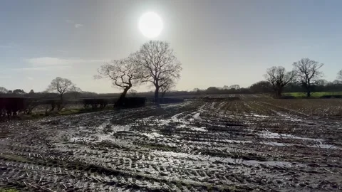 Winter sun muddy stubble corn field silhoutte trees atmospheric Stock Footage 300257611