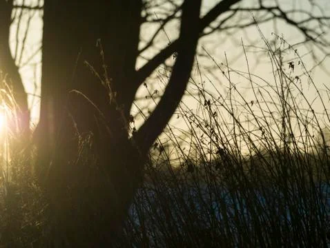 Winter sun Foto stock