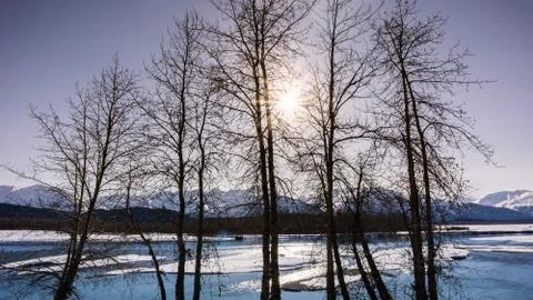 Winter sun Stock Photos