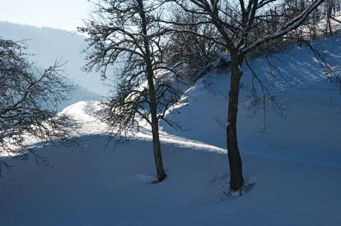 Winter sun Stock Photos