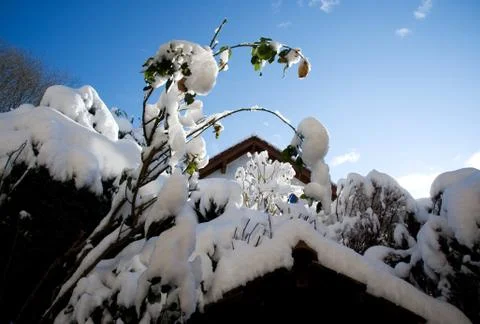 Winter sun Stock Photos