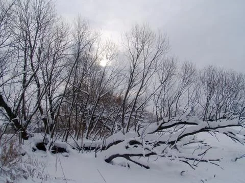 Winter sun Stock Photos