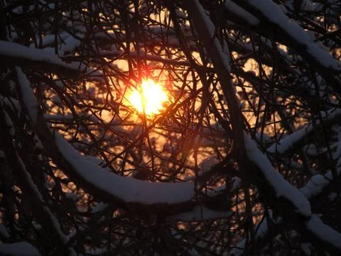 Winter Sun Stock Photos
