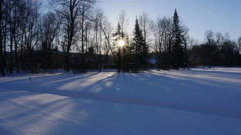 Winter sun through the trees Stock-Footage 101207974