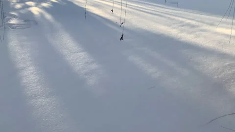 Winter, sun, trees in the snow Stock Footage 148129088