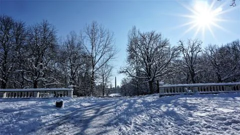 Winter Sun. Winter in the Park. Sofia, Bulgaria Stock Photos