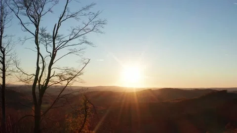 The winter sun in winter trees nature 4k 30fps video Stock Footage 229750099