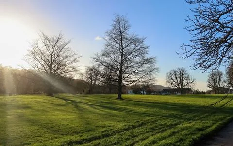 Winter sunbeams breaking through bare trees in Gadebridge Park, Hemel Hemps.. Stock Photos