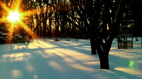Winter SunLandscape loop Stock Footage 1042101